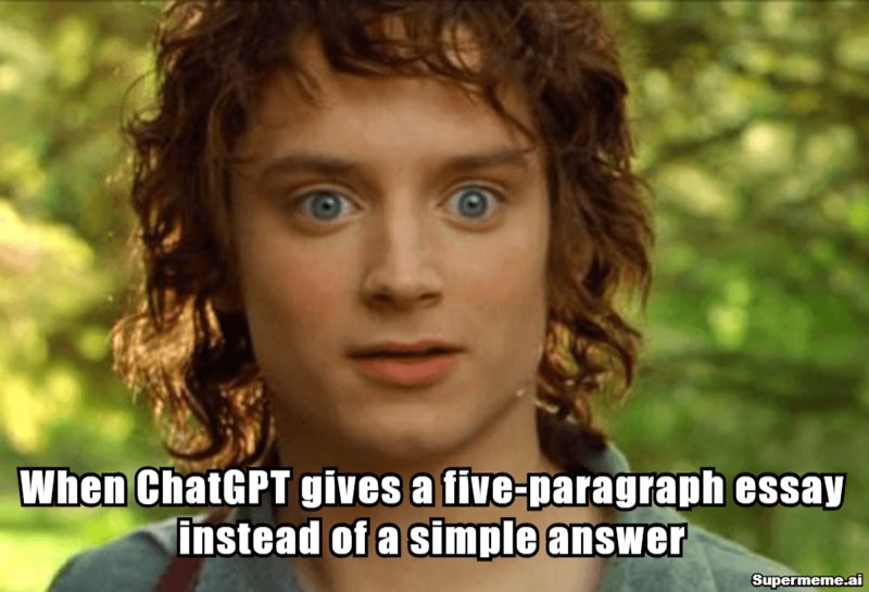 Chatgpt meme: The simple yes-or-no question, and the five paragraphs it summoned.