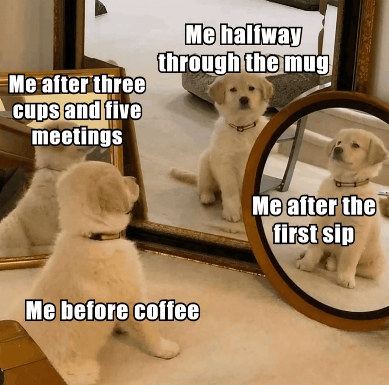 Funny coffee meme 11
