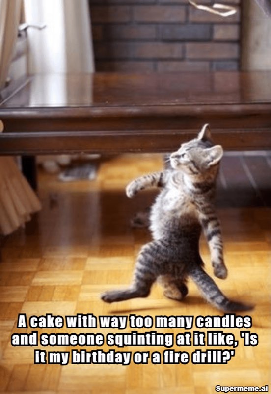 Funny happy birthday meme 11