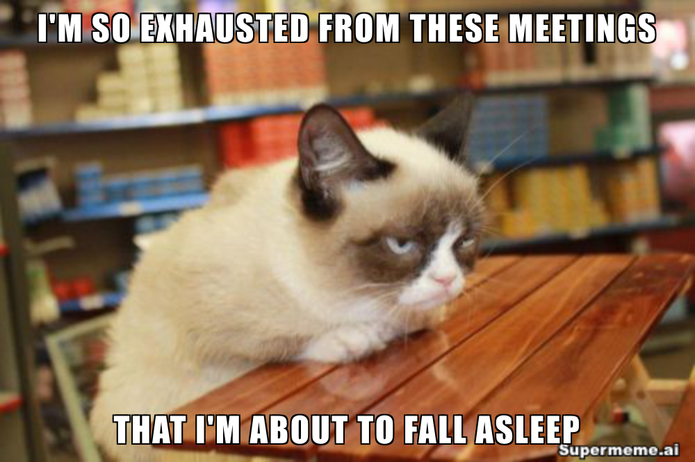 Funny meeting meme 13