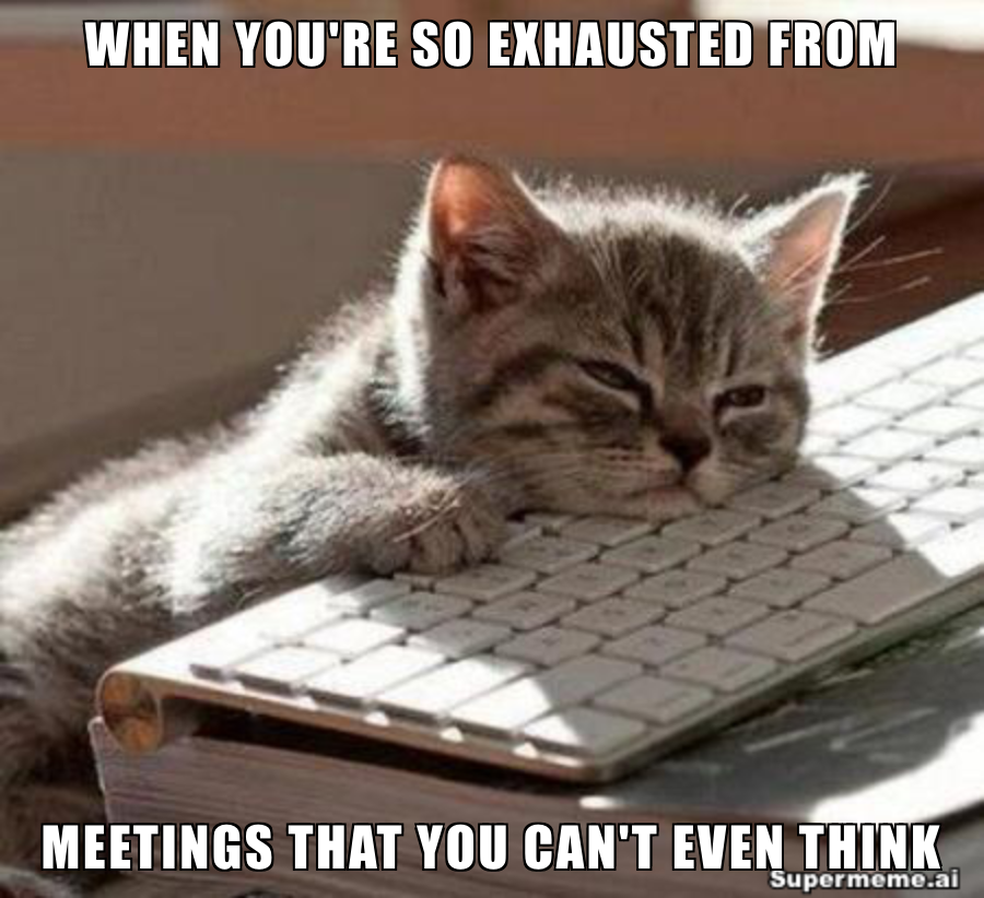 Funny meeting meme 3