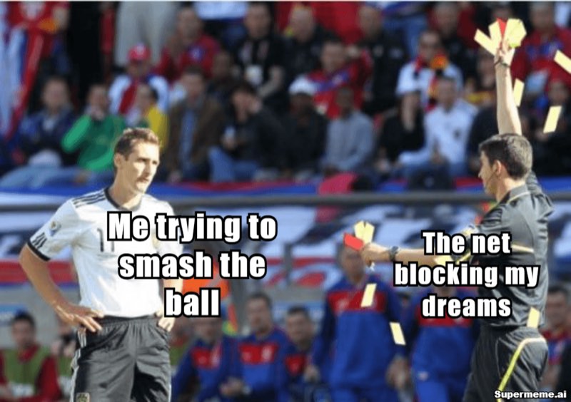 Funny pickleball meme 3
