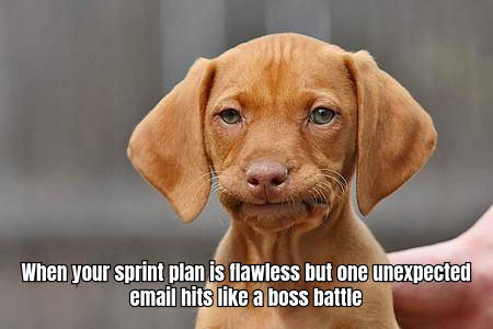 Funny product manager meme 81