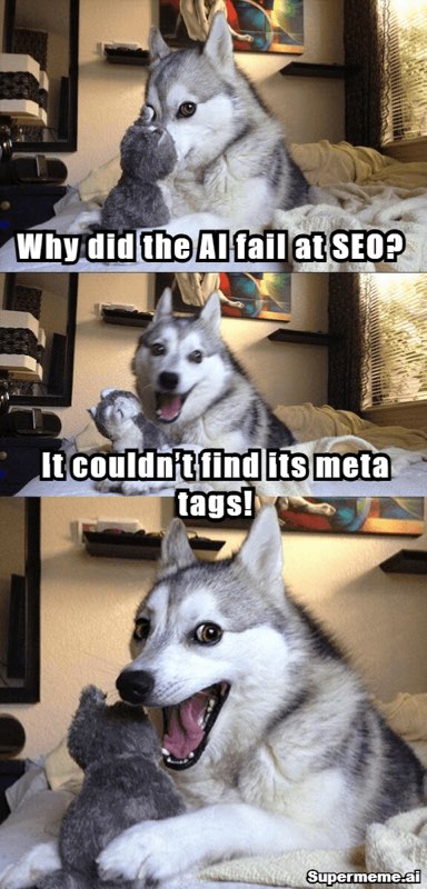 Funny seo meme 19