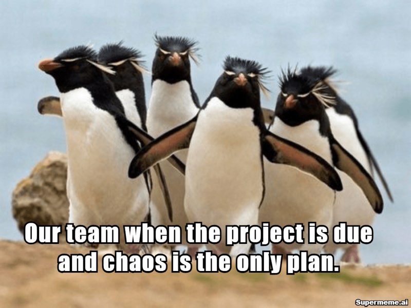 Funny teamwork meme 5