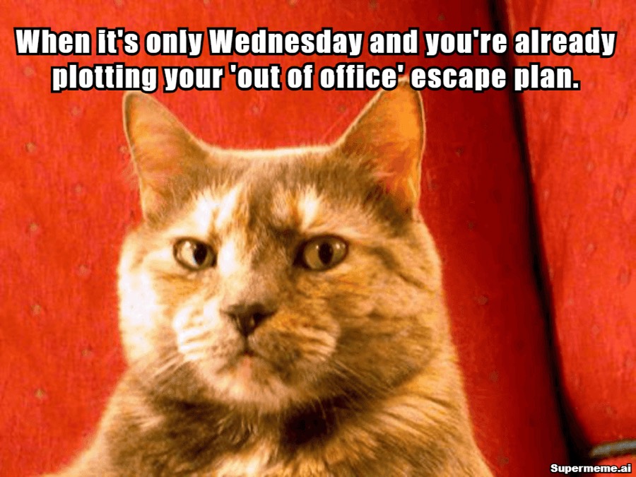 Funny wednesday work meme 7