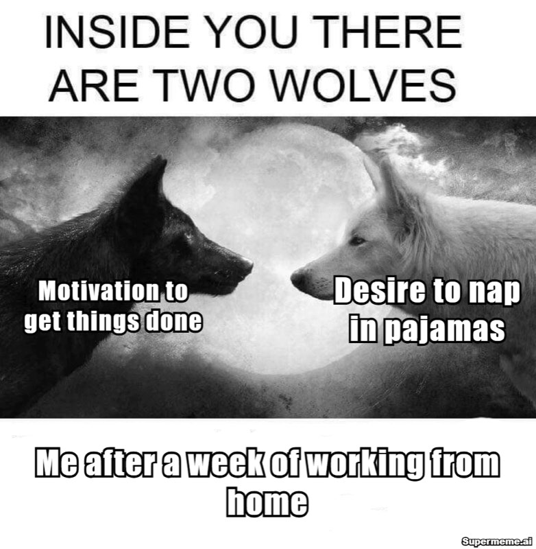 Funny work from home meme 9