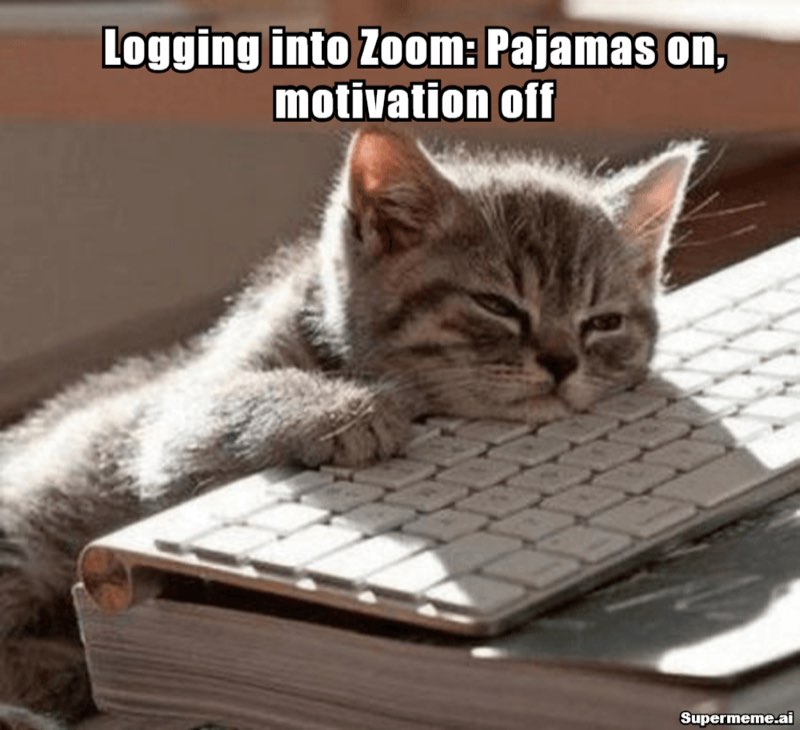 Funny work from home meme 6