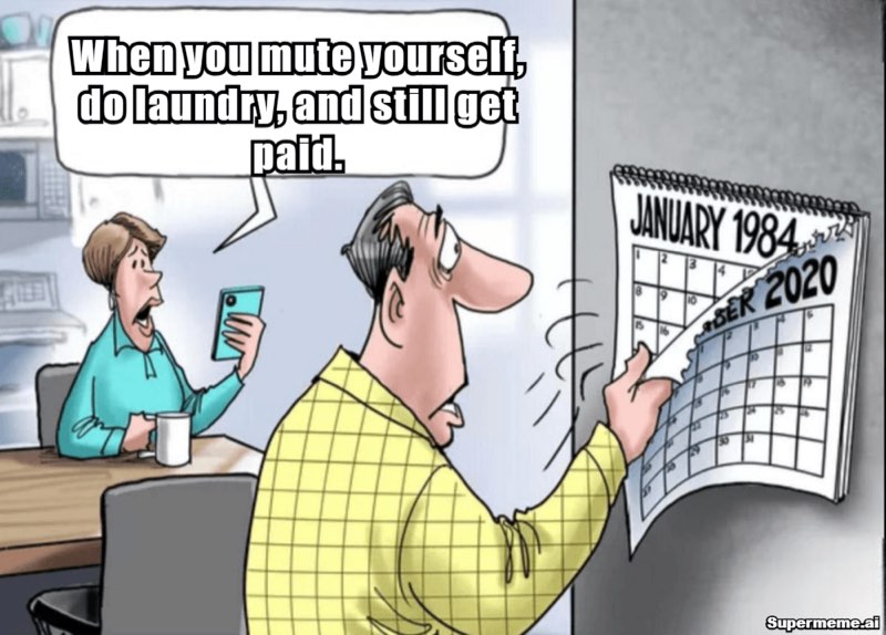 Funny work from home meme 3