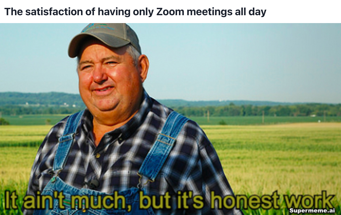 Funny zoom meeting meme 3