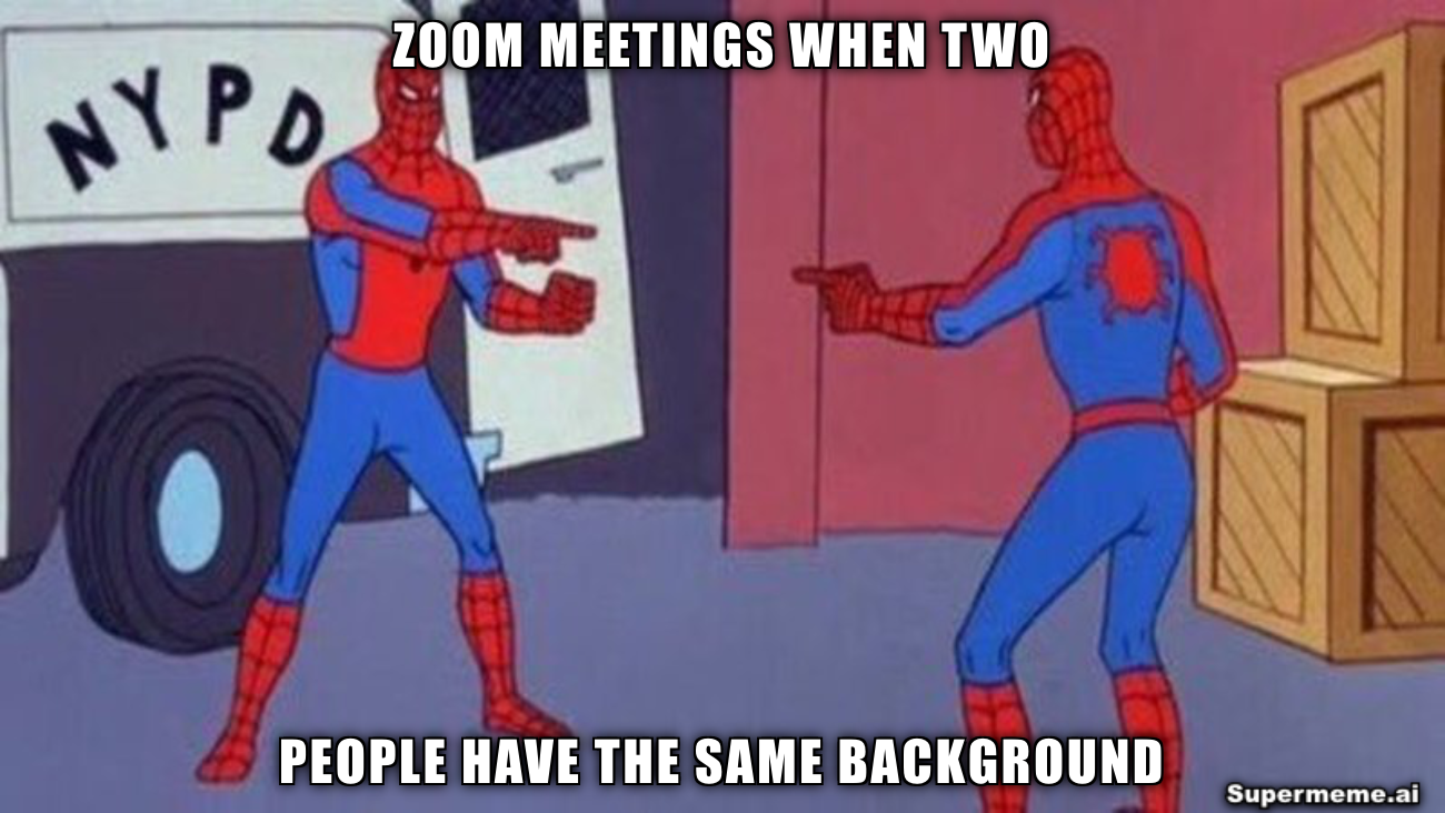 Funny zoom meeting meme 18