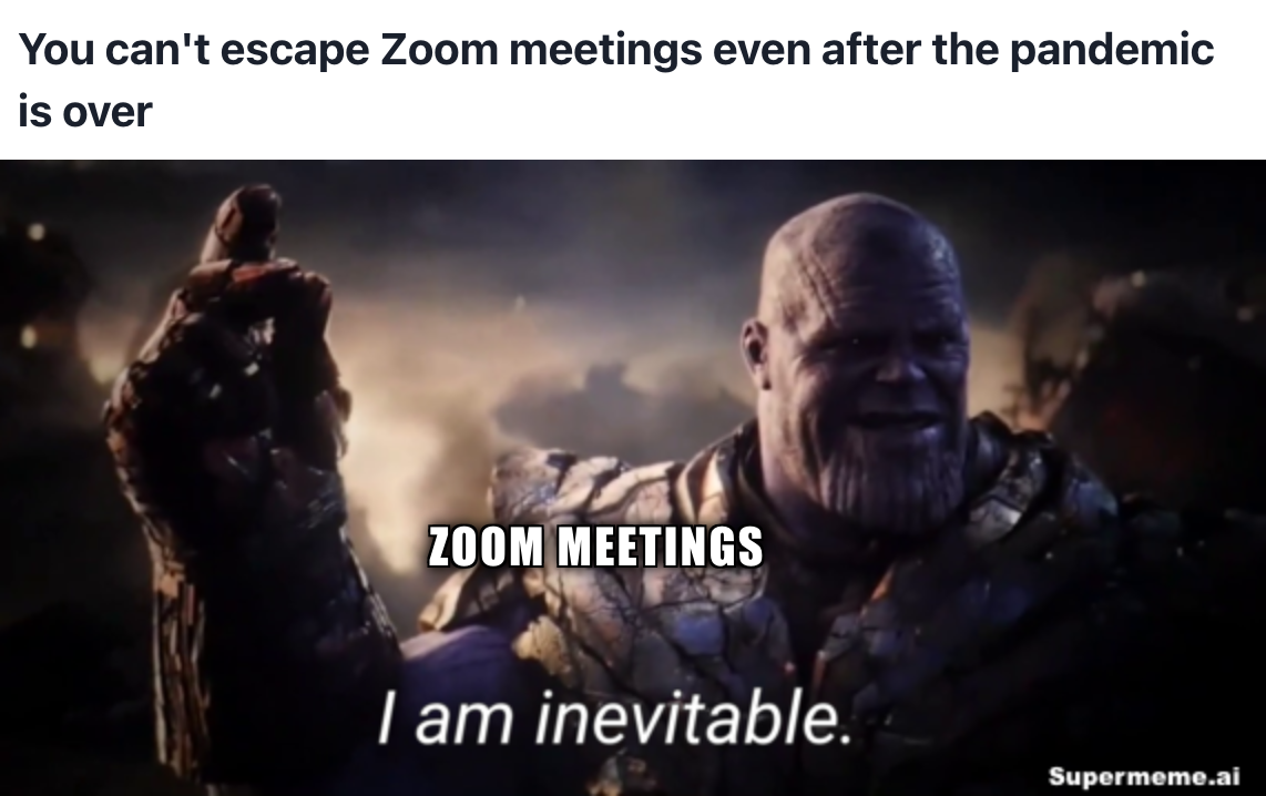 Funny zoom meeting meme 15
