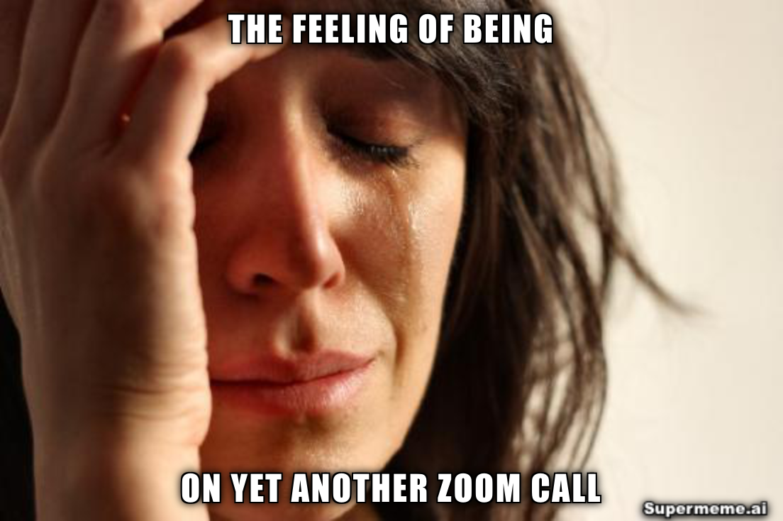 Funny zoom meeting meme 8