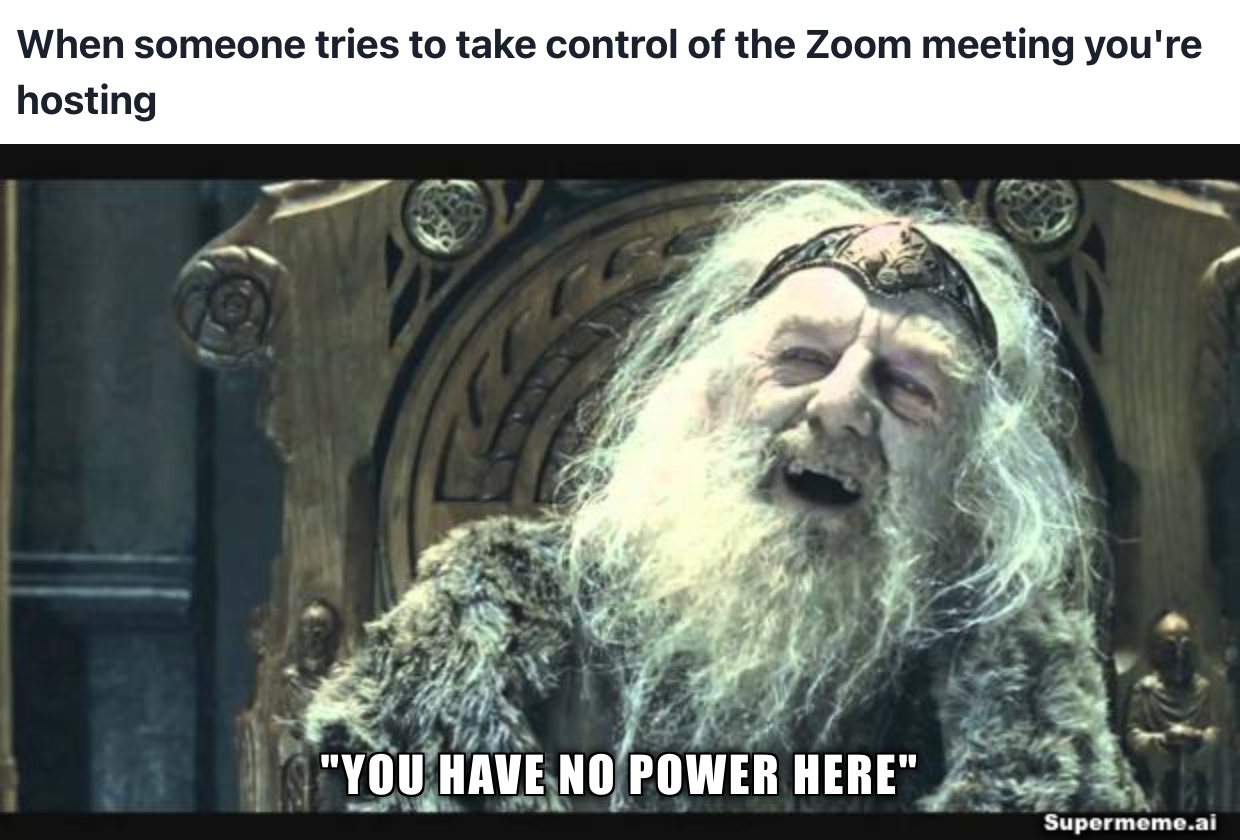 Funny zoom meeting meme 14